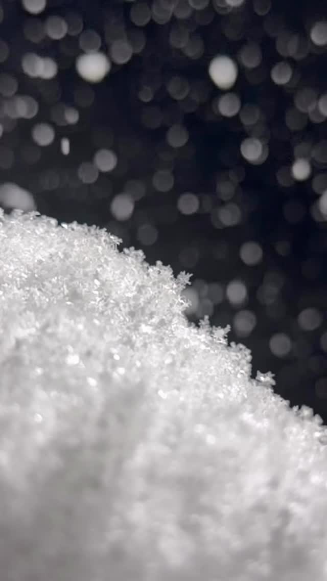 Snow settles gently, crystal by crystal.
A quiet moment where winter stays perfectly still.

#snowcrystals
#winterstillness
#slowtravel
#quietmoments
#japantravels